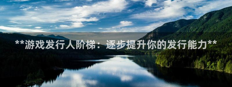 顺盈网络科技有限公司电话：**游戏发行人阶梯：逐步提升你的发行能力**