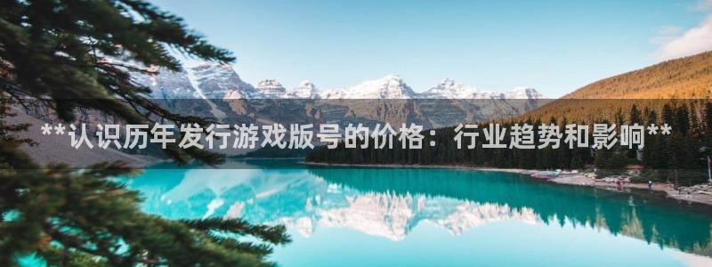 顺盈娱乐扣款成功了吗怎么退款：**认识历年发行游戏版号的价格：行业趋势和影响**
