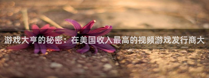 顺盈娱乐平台注册流程图片：游戏大亨的秘密：在美国收入最高的视频游戏发行商大