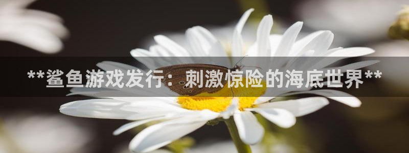 顺盈娱乐的员工待遇怎么样啊：**鲨鱼游戏发行：刺激惊险的海底世界**