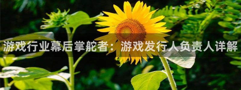顺盈娱乐公司介绍图片高清：游戏行业幕后掌舵者：游戏发行人负责人详解