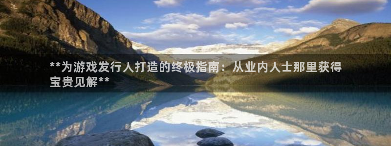 顺盈平台代理：**为游戏发行人打造的终极指南：从业内人士那里获得
宝贵见解**