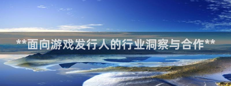 顺盈娱乐官网首页入口下载：**面向游戏发行人的行业洞察与合作**