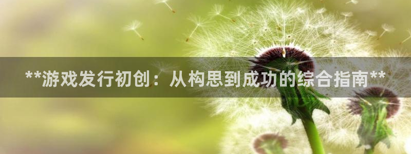 顺盈娱乐登录平台是什么意思呀：**游戏发行初创：从构思到成功的综合指南**