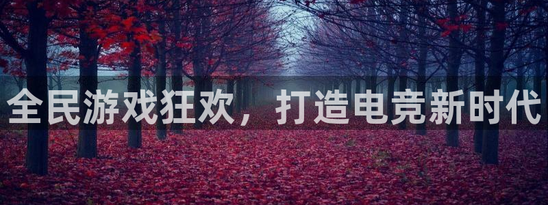 顺赢娱乐：全民游戏狂欢，打造电竞新时代