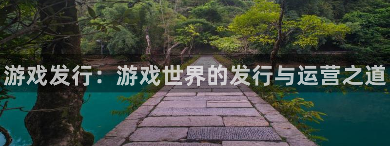 顺盈娱乐官网首页入口网址