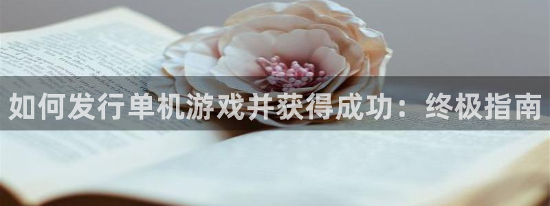 顺盈平台开户：如何发行单机游戏并获得成功：终极指南