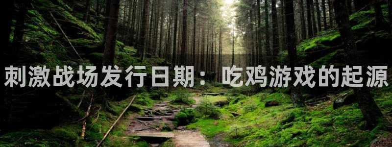 顺赢inka：刺激战场发行日期：吃鸡游戏的起源