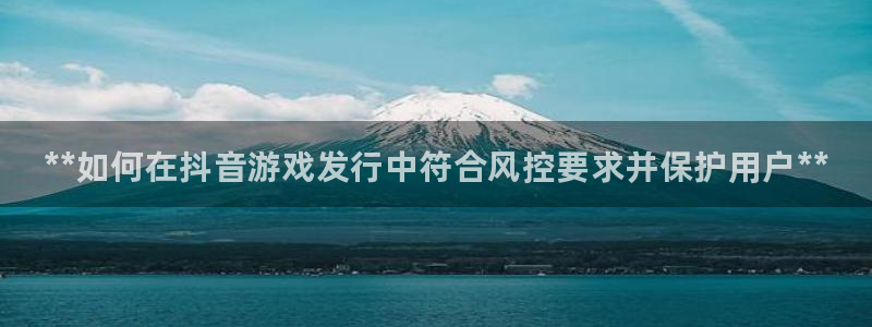 顺盈娱乐登录平台是什么平台：**如何在抖音游戏发行中符合风控要求并保护用户**