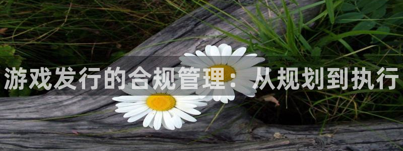 顺盈娱乐供7O777：游戏发行的合规管理：从规划到执行