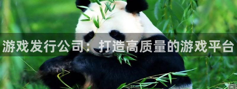 顺盈网络科技有限公司电话：游戏发行公司：打造高质量的游戏平台