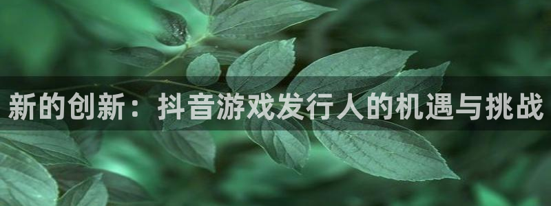 顺盈平台怎么样：新的创新：抖音游戏发行人的机遇与挑战