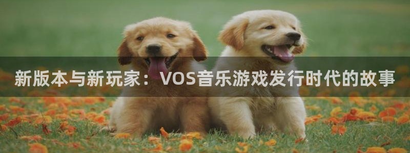顺盈娱乐够7O777：新版本与新玩家：VOS音乐游戏发行时代的故事