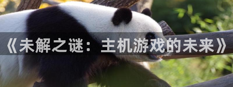 顺盈平台注册地址在哪：《未解之谜：主机游戏的未来》