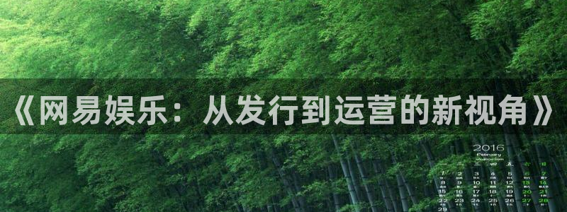 顺盈平台注册网址是什么：《网易娱乐：从发行到运营的新视角》