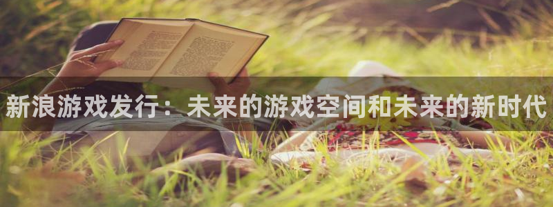 顺盈娱乐登录平台下载安装手机版：新浪游戏发行：未来的游戏空间和未来的新时代