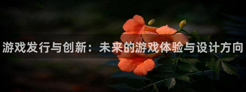 顺赢电子官网：游戏发行与创新：未来的游戏体验与设计方向