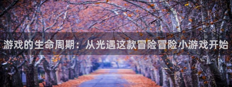 顺盈娱乐官网首页入口：游戏的生命周期：从光遇这款冒险冒险小游戏开始
